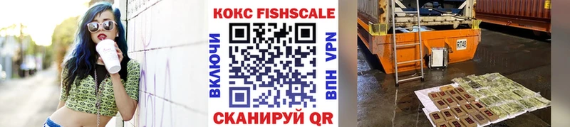 Cocaine FishScale  Купить закладки  Дмитров 