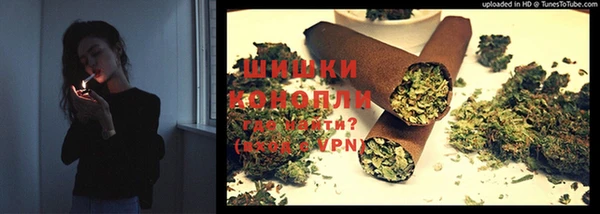 Альфа ПВП Белокуриха