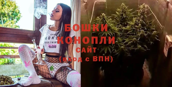 Альфа ПВП Белокуриха