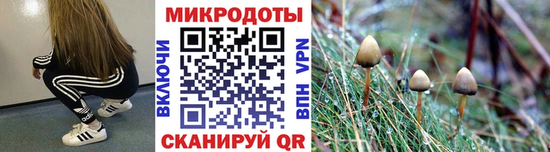 Галлюциногенные грибы Magic Shrooms Купить Дмитров
